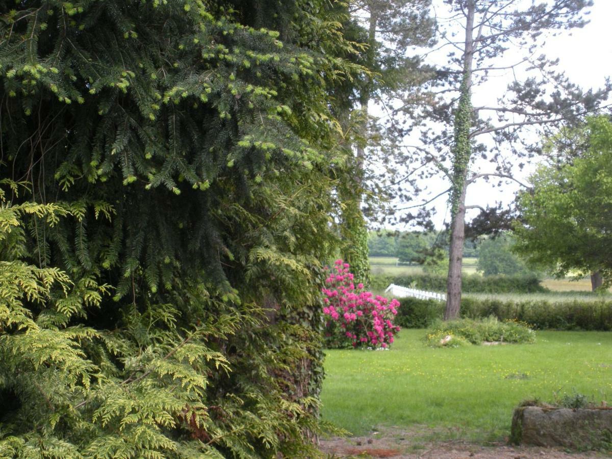 Le Domaine Du Mijarnier Bed & Breakfast Montbeugny Dış mekan fotoğraf