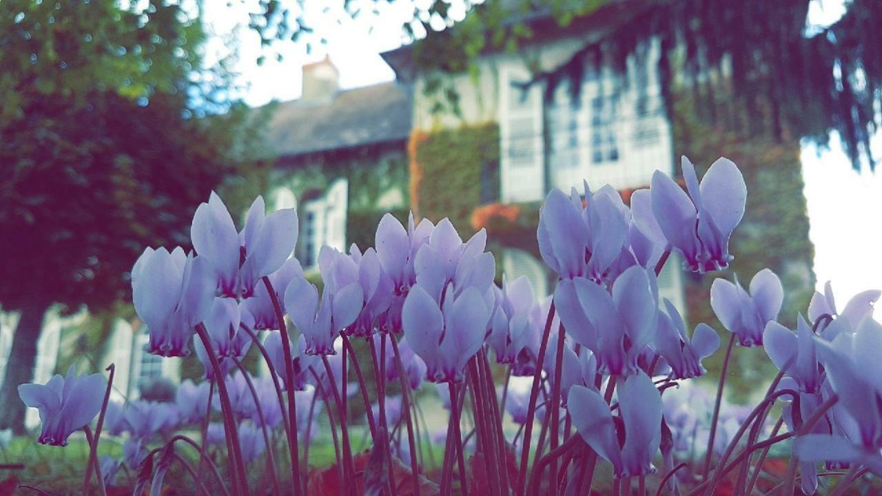 Le Domaine Du Mijarnier Bed & Breakfast Montbeugny Dış mekan fotoğraf